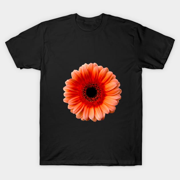 One Gerbera, One Story T-Shirt by Zenflow